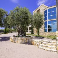 aeolis thassos palace hotel