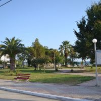 artemis apartments