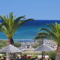 blue dolphin hotel