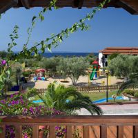 blue dolphin hotel