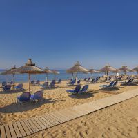 blue dolphin hotel