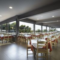 blue dolphin hotel