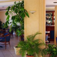 blue sea hotel-apartments