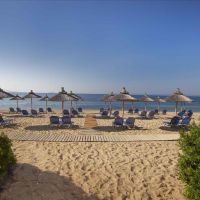 blue dolphin hotel