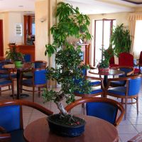 blue sea hotel-apartments