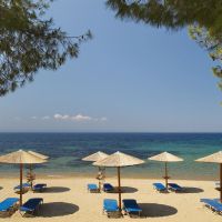 blue dolphin hotel