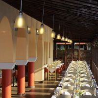 blue dolphin hotel