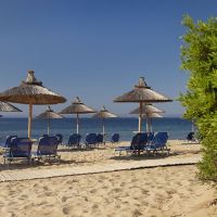 blue dolphin hotel
