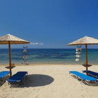 blue dolphin hotel