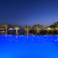 blue dolphin hotel