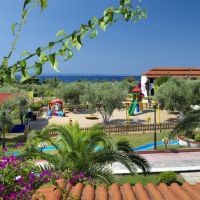 blue dolphin hotel