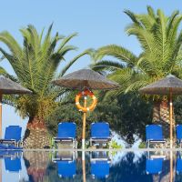 blue dolphin hotel