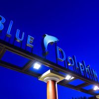 blue dolphin hotel