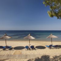 blue dolphin hotel