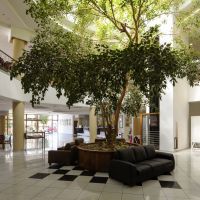 bomo aristoteles holiday resort & spa