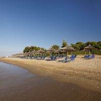 blue dolphin hotel
