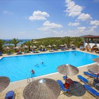 blue dolphin hotel