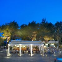 blue dolphin hotel