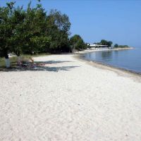coral hotel