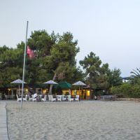 coral blue hotel