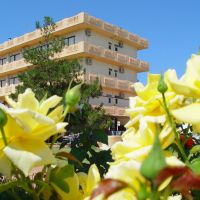 castro hotel