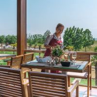 cosmopolitan hotel & spa