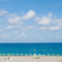 edem beach hotel