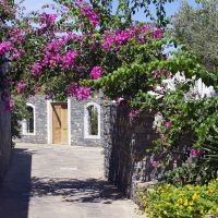 elounda peninsula all suite hotel