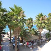 flegra beach boutique hotel apartments