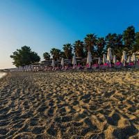 flegra beach boutique hotel apartments