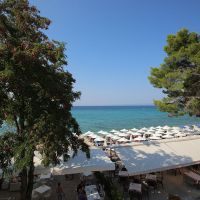flegra beach boutique hotel apartments