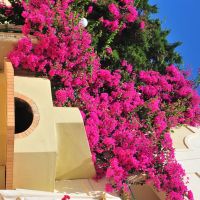 hydramis palace beach resort