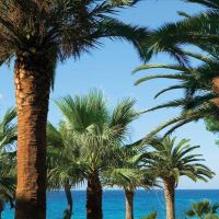 grecotel meli palace