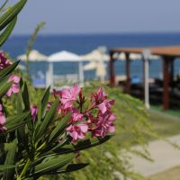 kiani beach resort
