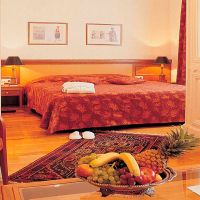 minerva premier hotel