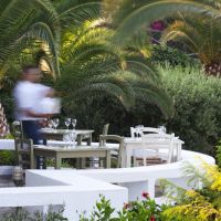 minos palace hotel & suites