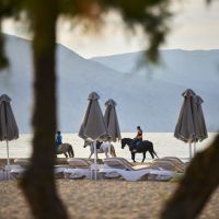 mythos palace resort & spa