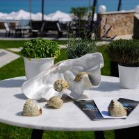 ostria sea side hotel