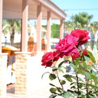 palladion hotel