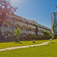 bomo pallini beach hotel