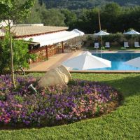 paradise inn hotel
