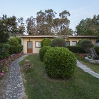 bomo pallini beach hotel