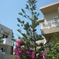 pelagia bay hotel
