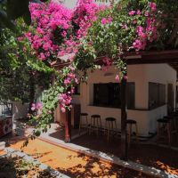 renia apartments