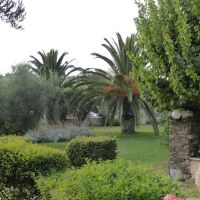 porto matina hotel