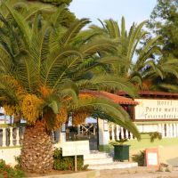 porto matina hotel