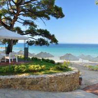 royal paradise beach resort & spa