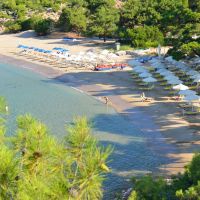 royal paradise beach resort & spa