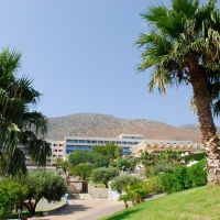 royal belvedere hotel