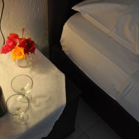 stork hotel